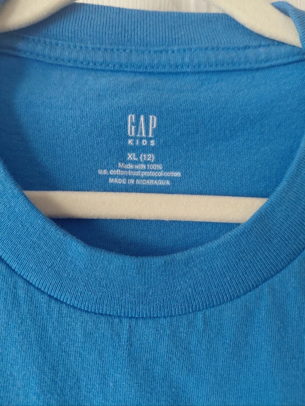 GAP Kid's Bright Blue Long-Sleeve Mountain Graphic Tee